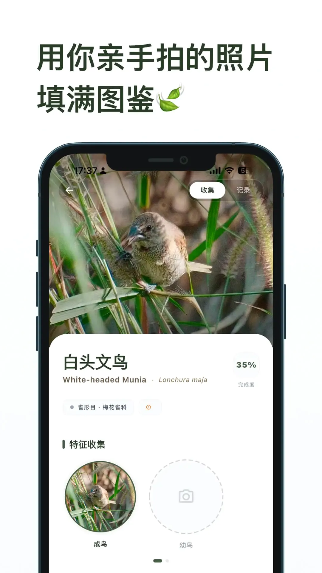 ��ë�����ֻ���v1.8.9 �ֻ���