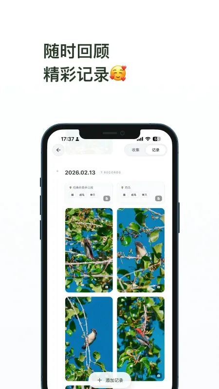 数毛最新手机版 数毛最新手机版