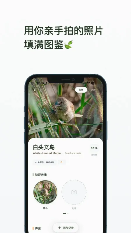 ��ë�����ֻ���v1.8.9 �ֻ���