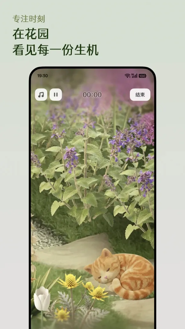 芳圃Floravale 芳圃Floravale